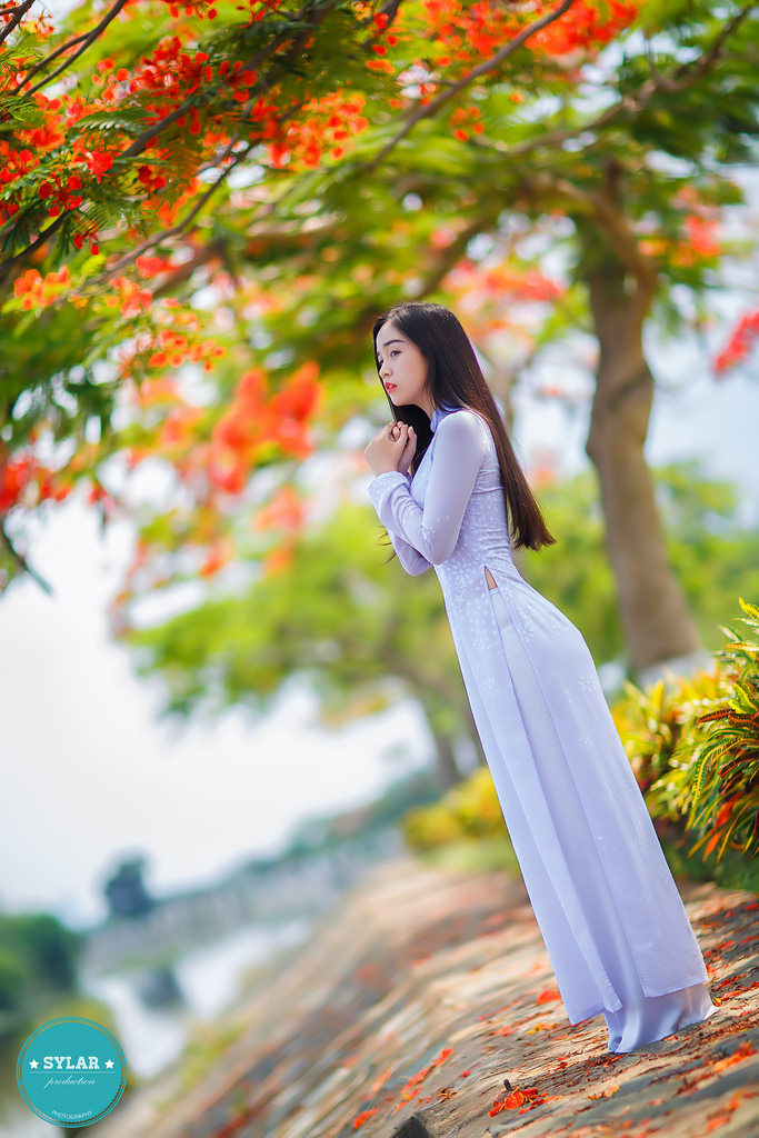 涩av在线